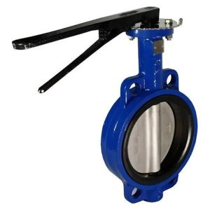 CI Butterfly Valve