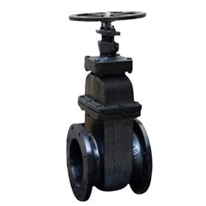 CI Gate Valve